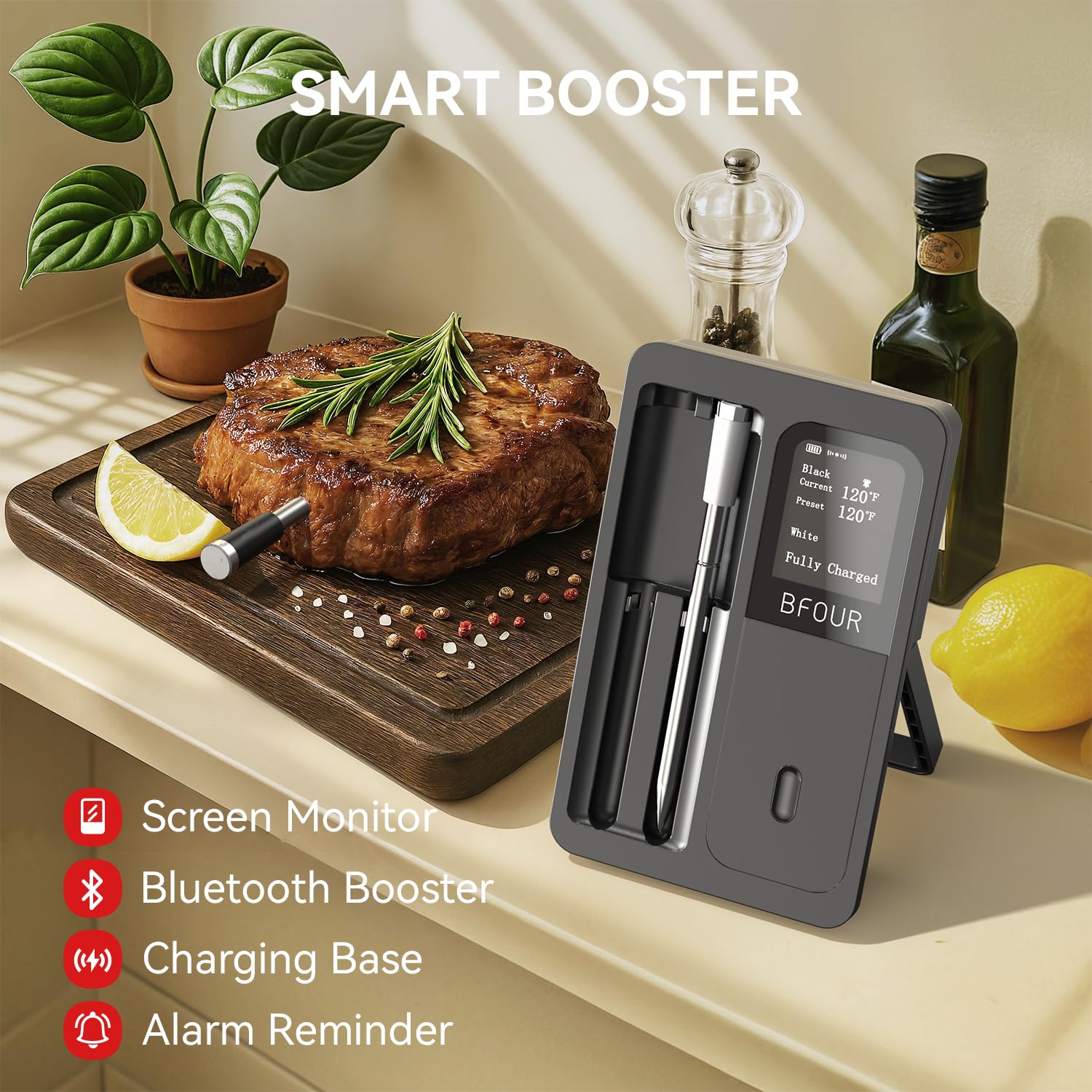 Termometro per carne wireless  - Kitchen Appliances Video recensione e prezzo