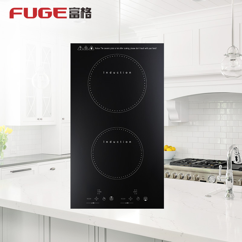 AOLIVIYA Piano Cottura a Induz - Induction Cooktop Portable recensione e prezzo