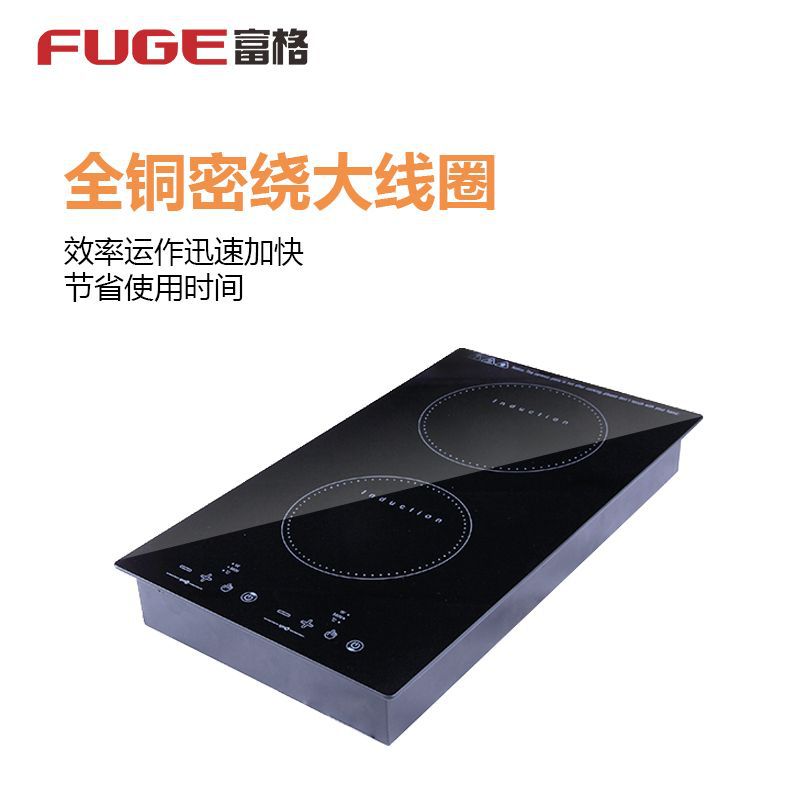 AOLIVIYA Piano Cottura a Induz - Induction Cooktop Portable recensione e prezzo